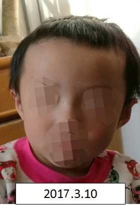 男人日女人逼的免费视频